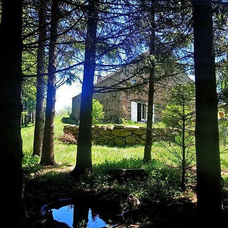 la ferme du crie Chaudeyrolles Exterior foto